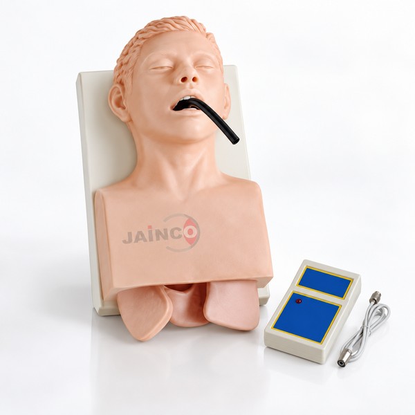 Human Trachea Intubation Model